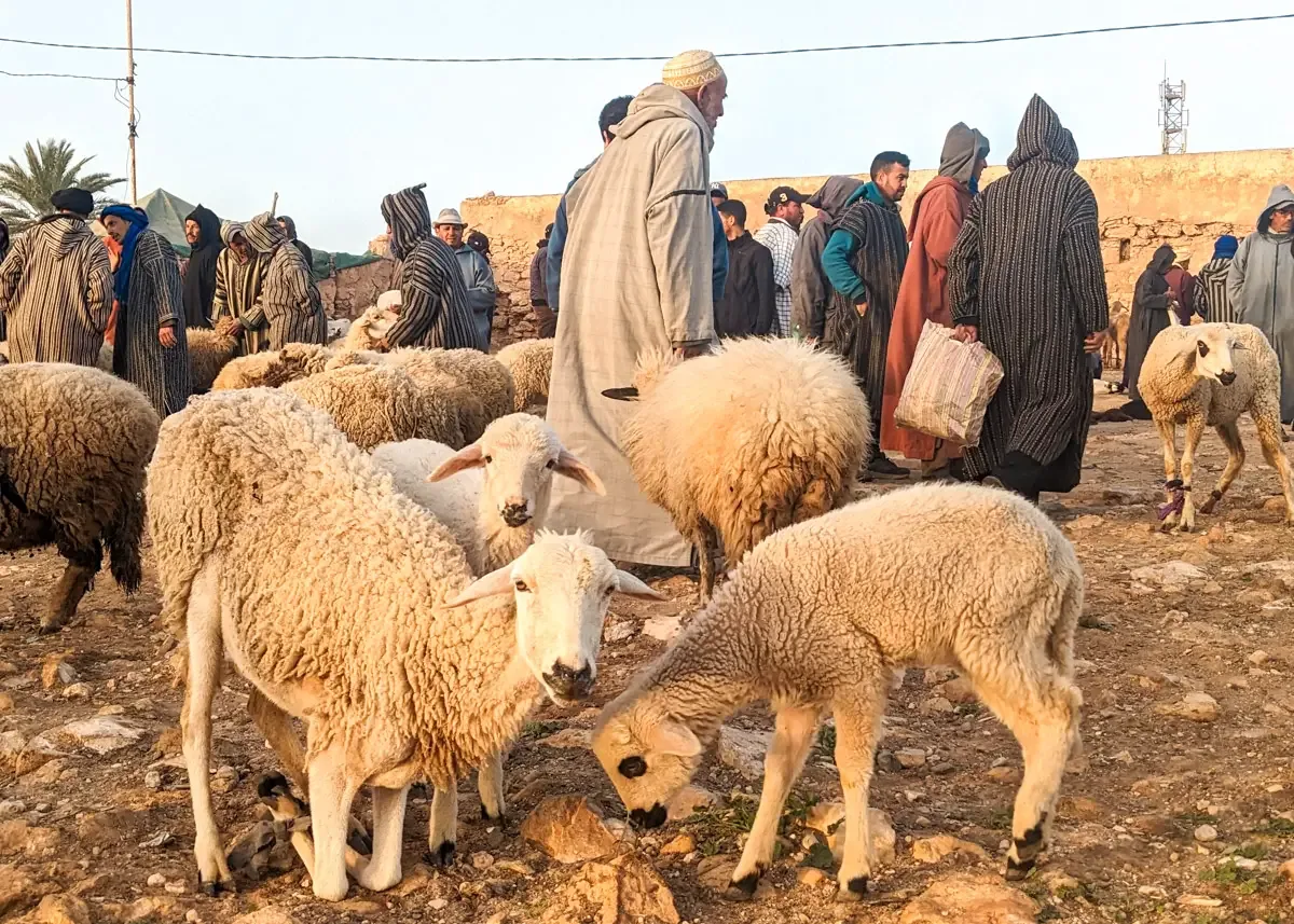 Ida Ougourd market