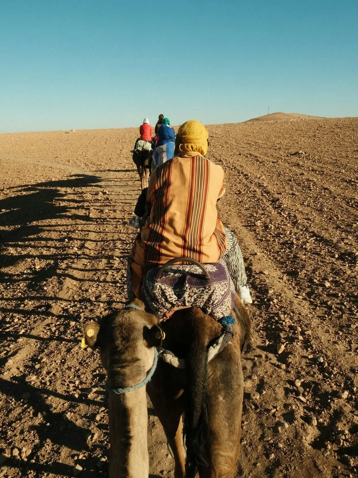 Camel ride in Agafay