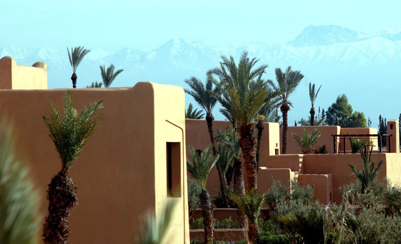 Palmeraie of Marrakech