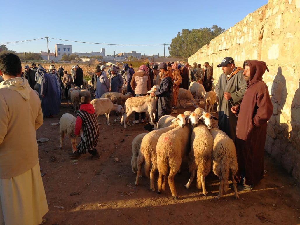 Essaouira Market